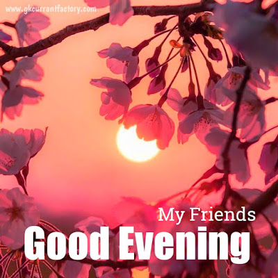 Good Evening Images. Good Evening Images Hd, Good Evening Images With Love, Good Evening Images Download, Good Evening Images For Whatsapp, Good Evening Images With Flowers, Good Evening Images For Friends, Good Evening Images Quotes, Good Evening Photoo, Good Evening Pic Good Evening Images. Good Evening Images Hd, Good Evening Images With Love, Good Evening Images Download, Good Evening Images For Whatsapp, Good Evening Images With Flowers, Good Evening Images For Friends, Good Evening Images Quotes, Good Evening Photoo, Good Evening Pic