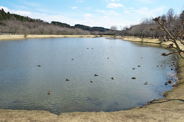 元気あっぷむら親水公園 元気あっぷむら親水公園の写真