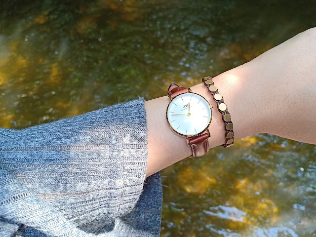 Daniel Wellington watch CLASSIC PETITE ST MAWES 