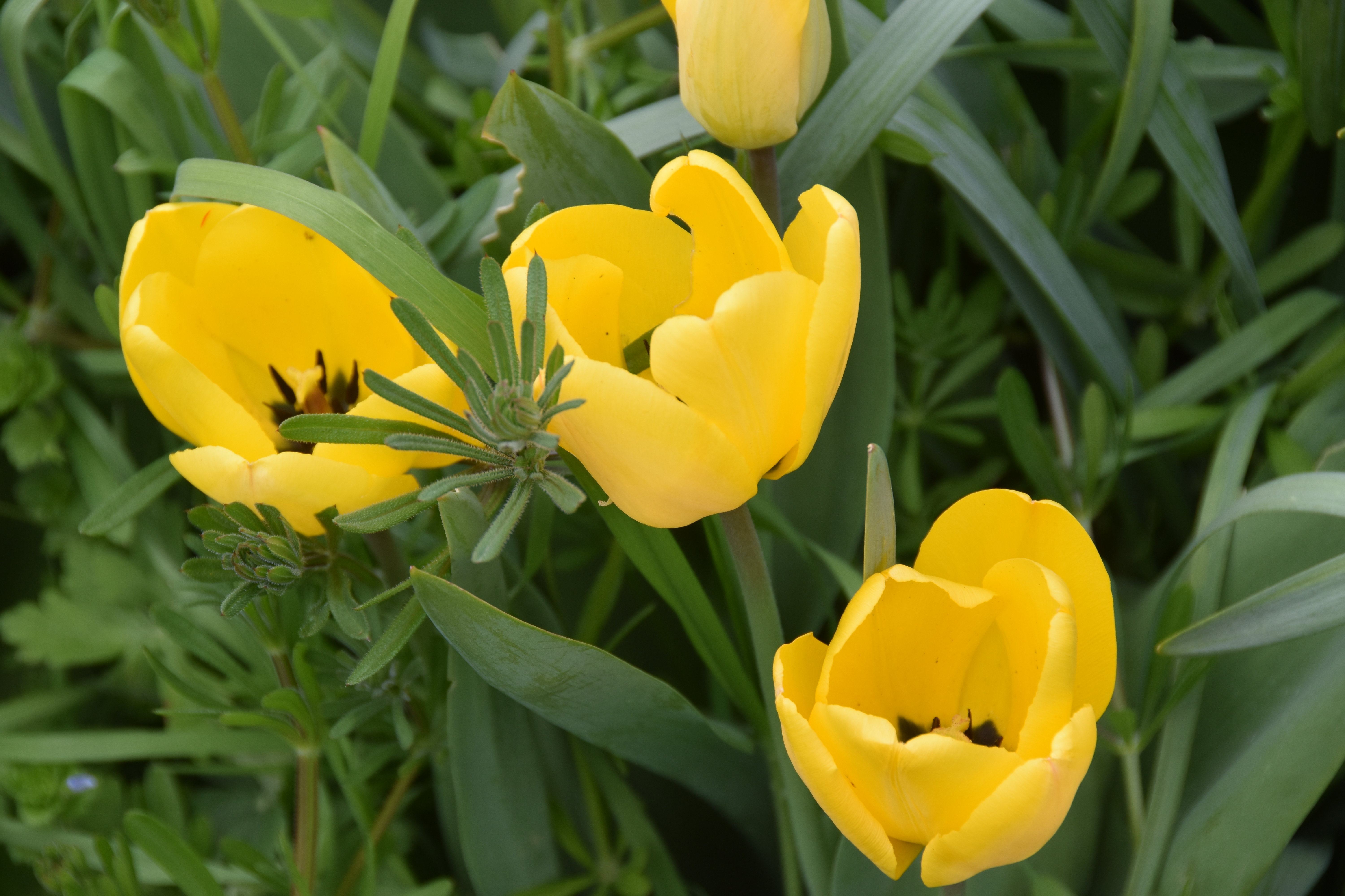 L’attribut alt de cette image est vide, son nom de fichier est DSC_0034.JPG.