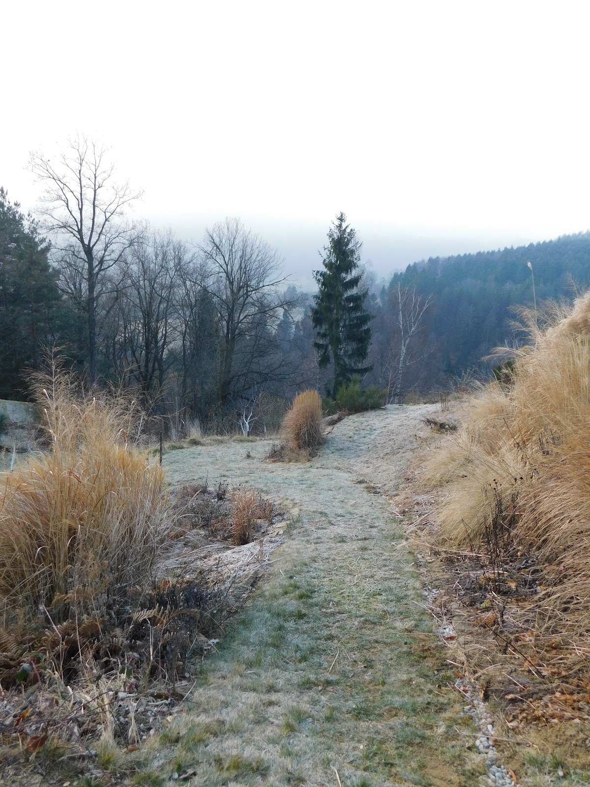 Der Garten im Januar&hellip;