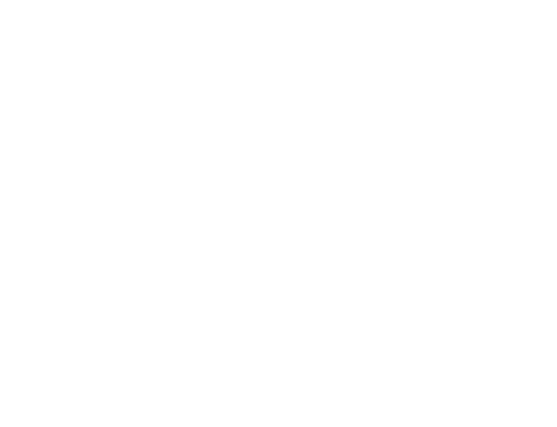 KREMOV PICTURES