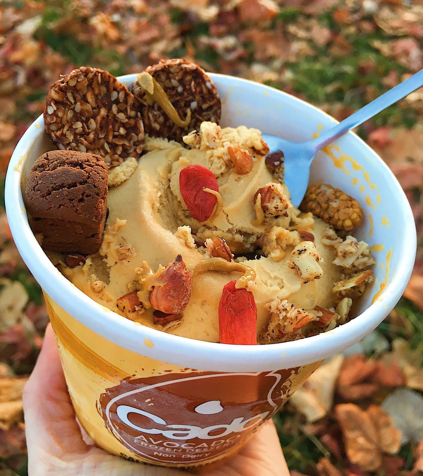 3 Unique NewtoMe Gluten Free Vegan Frozen Desserts