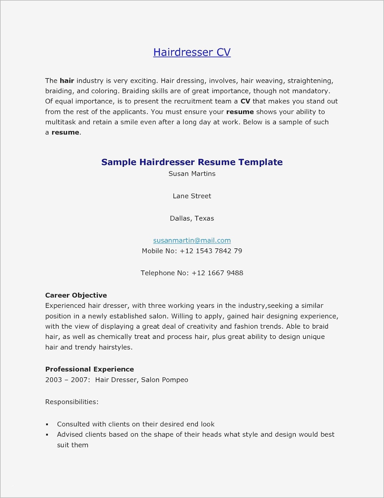 Hair Stylist Resume Objective Resume Genius Template