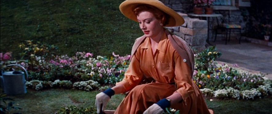 Love Music Wine and Revolution: Tea and Sympathy (1956)