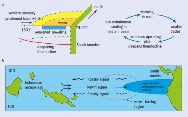 Mengenal Gelombang Kelvin dan Gelombang Rossby Ekuator, Konsep serta Karakteristiknya