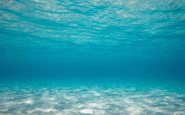 Pernah Berpikir Air Laut Asin? Beginilah Jika Samudera Menjadi Tawar