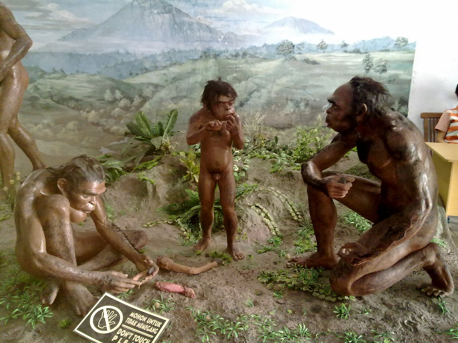 неандерталец хомосапиянс женщина. олдувайский человек. грацильные австралопитеки. питекантроп сапиенс и денисовец. неандерталец (homo neanderthalensis).