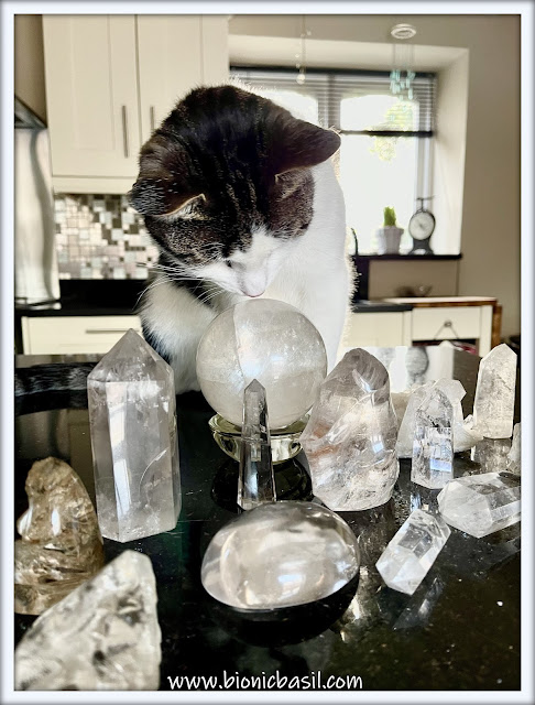 Mandalas on Monday ©BionicBasil® Colouring With Cats Mandala #120 Clear Quartz - Crystal Gazing with Melvyn