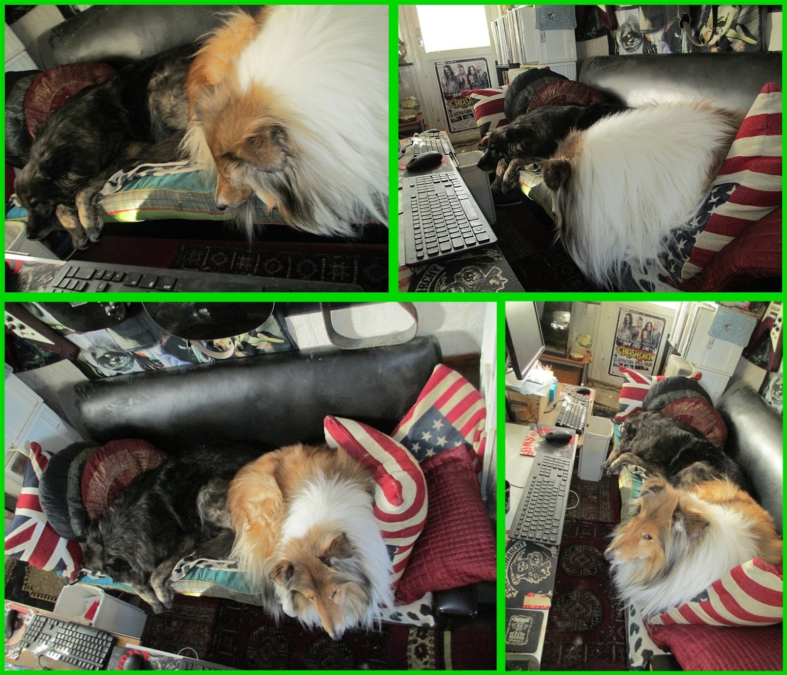 Dead in 5 Heartbeats 2013 - Full Cast Crew - IMDb