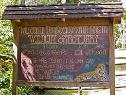 7-Day Placencia Activities Guide — Best Vacation Ever! 11 Remaxvipbelize: likely see a LOT of wildlife