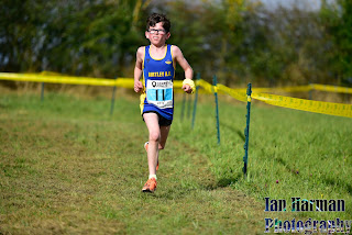 Noah Williamson