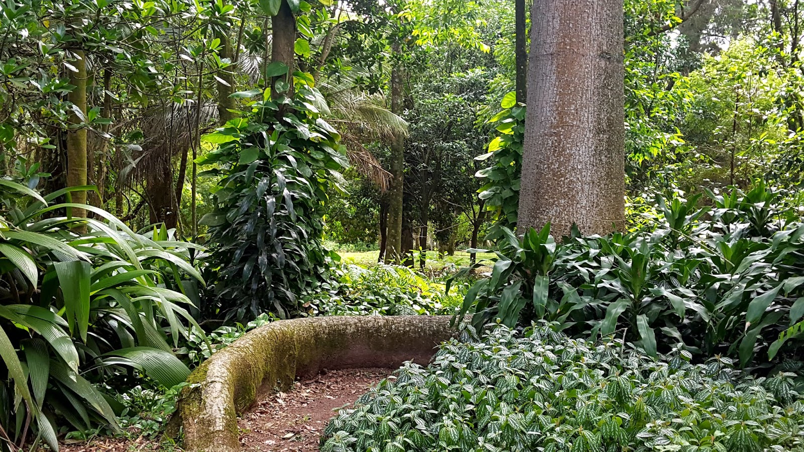 Jardim Botânico