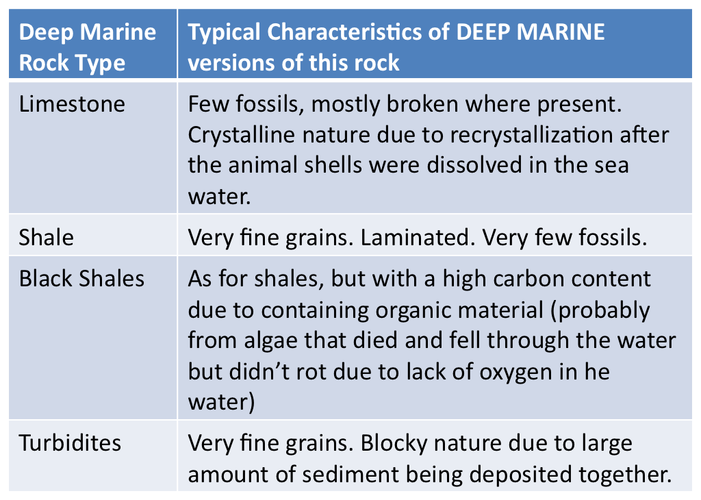 PCSA Geology Updates: Sedimentary Rocks