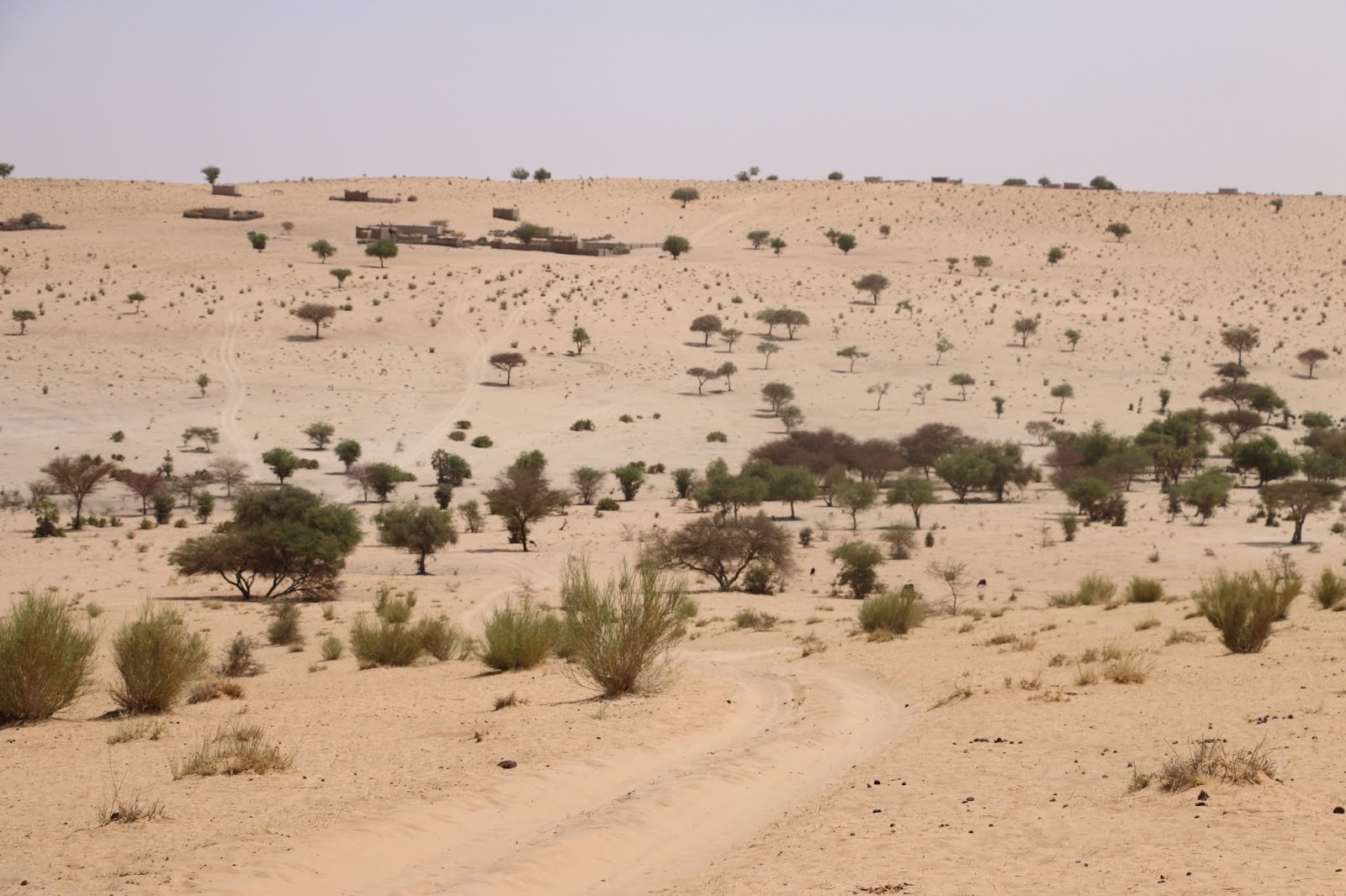  Sahel frica