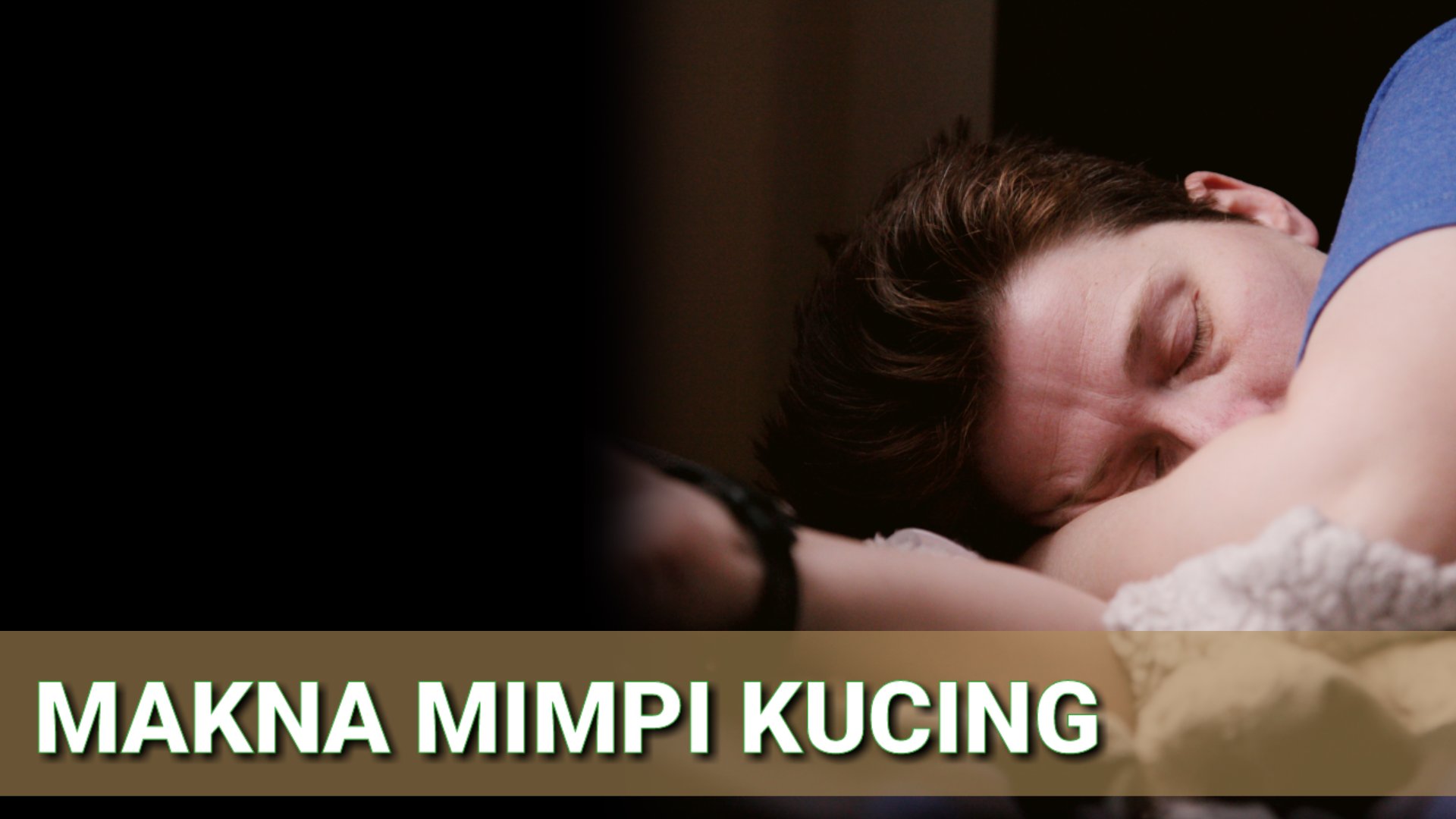 Misteri Mimpi Kucing Menurut Psikolog dan Ahli Tafsir Mimpi TABIR DAKWAH