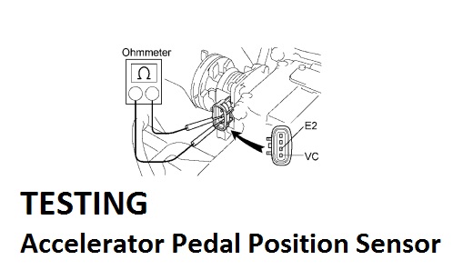 Accelerator Pedal Position Sensor - Mechanic