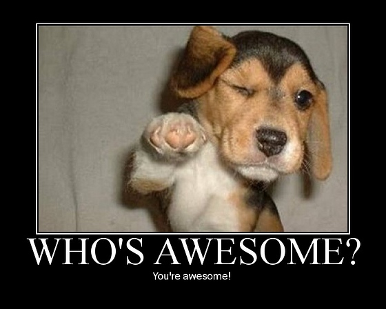 image: awesome