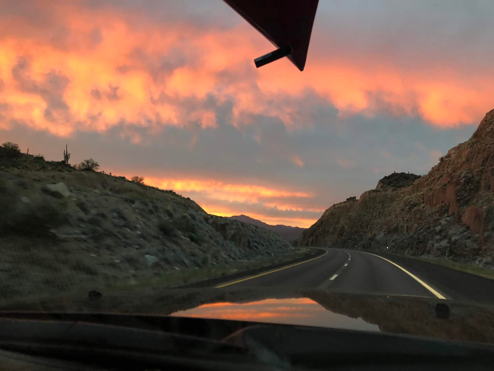 Down the Road Tuba City to Kayenta, AZ Dinosaurs, Elephants & Monuments