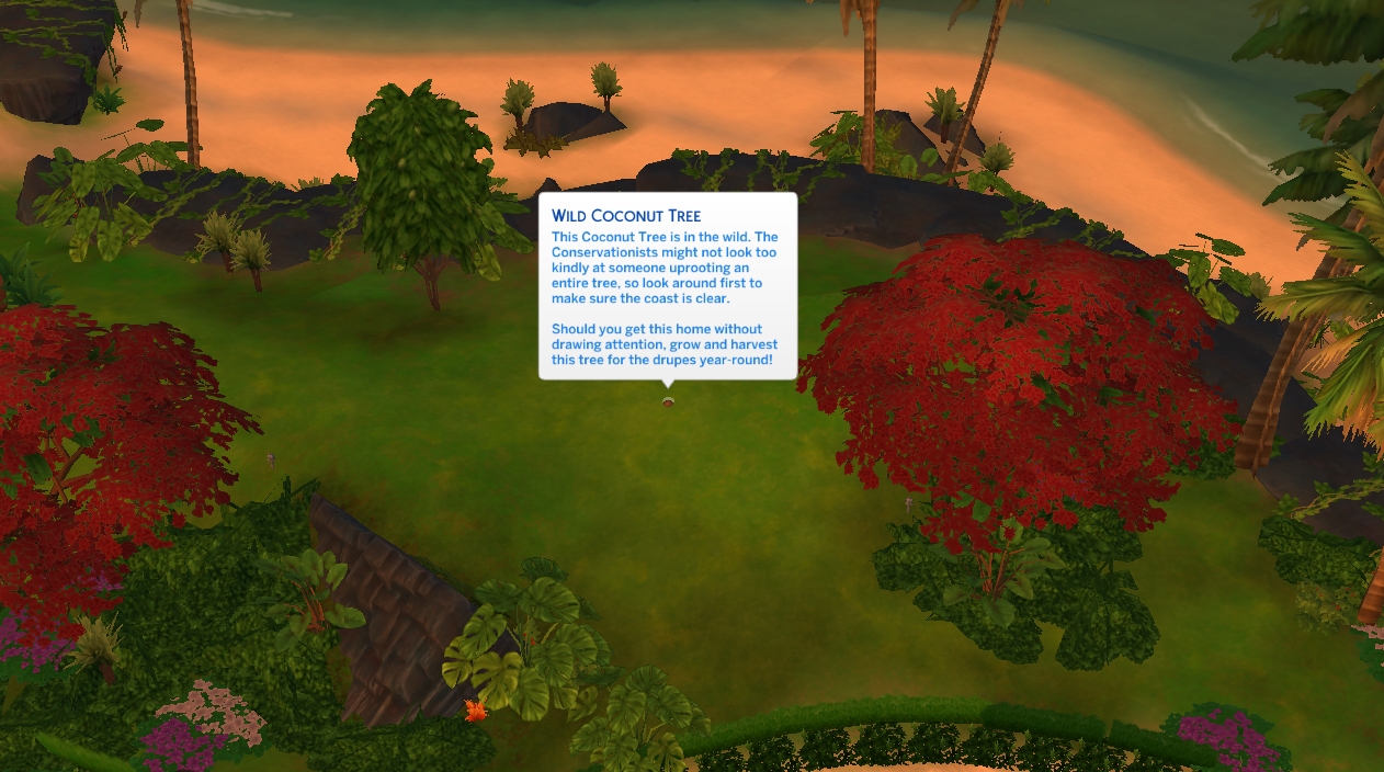 Sims 4 Make It Happen Where's that Coconut Tree? Island Living