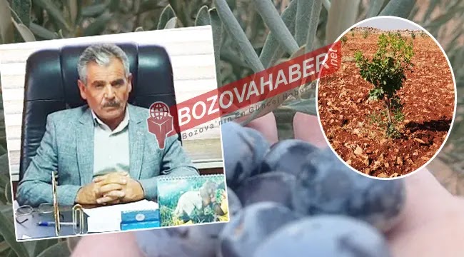 Bozova’da tarımda proje atağı