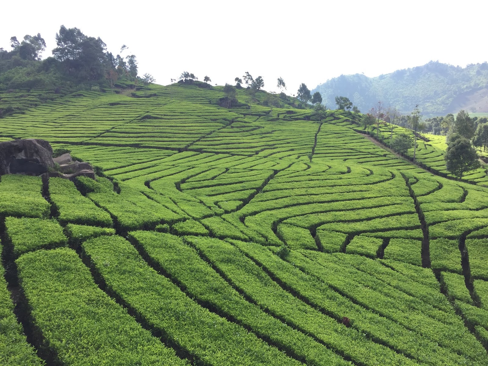 "Wisata Bandung Jawa Barat"