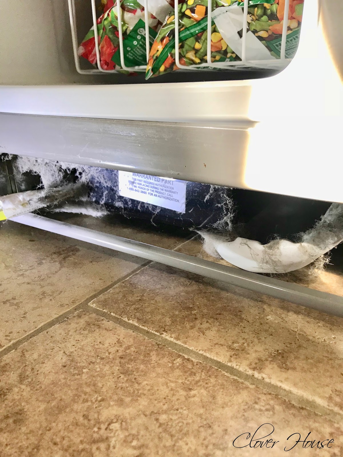 Refrigerator Cleaning - Dust It Down