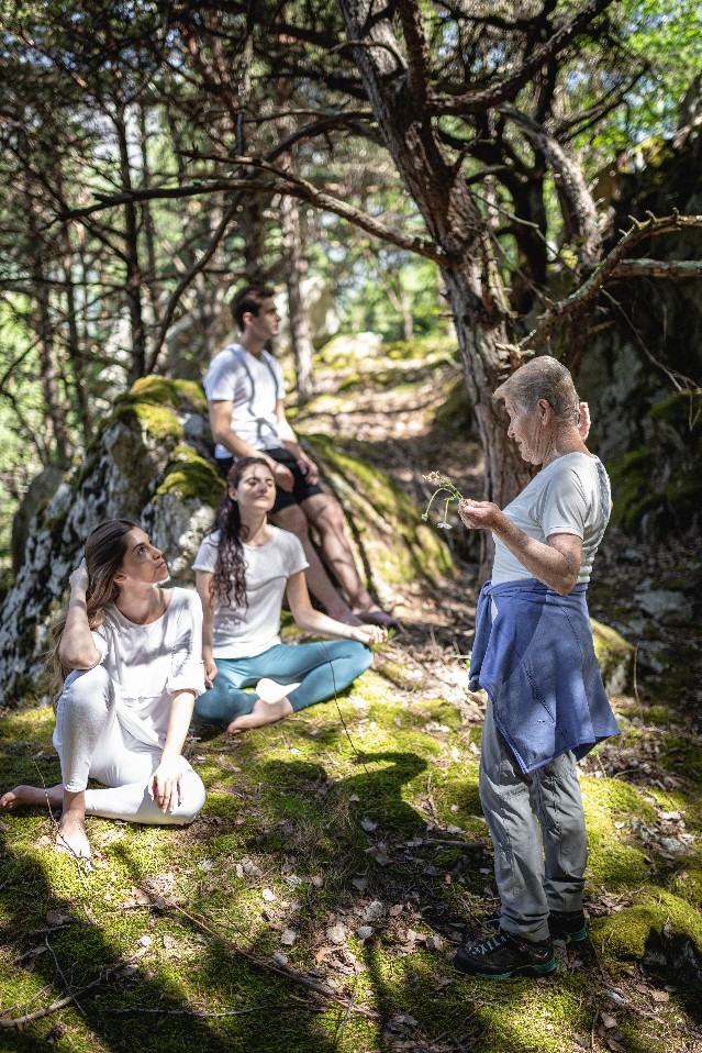 forest bathing benefici terapia significato