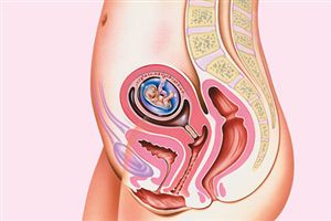 10 12 haftalik gebelik ben gebeyim