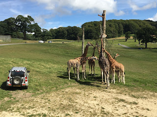 Longleat Safari Park-Longleat House-Mohabbatein Shooting Place