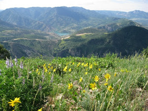 Mountain behind our home