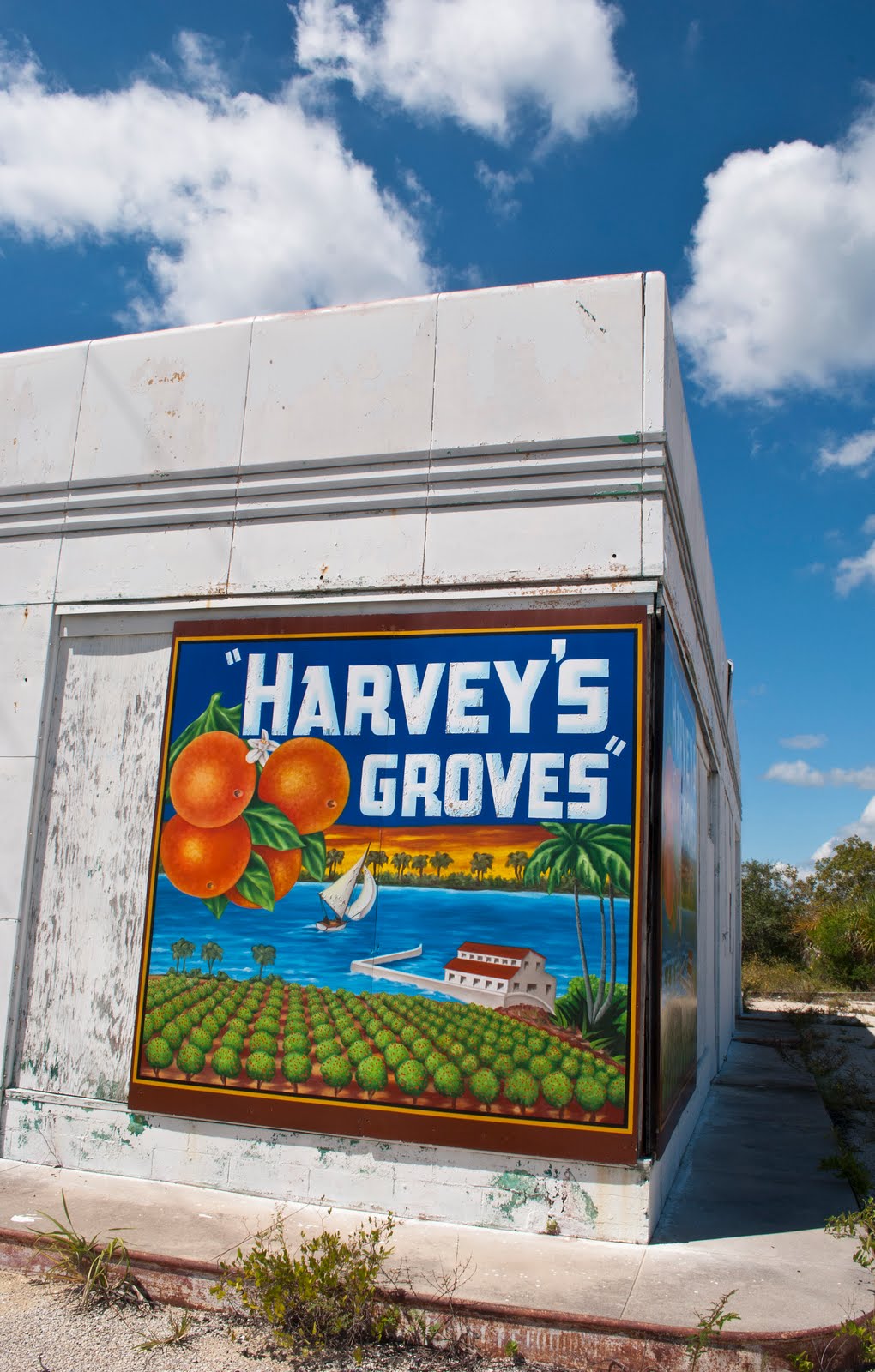 Old Florida Indian River Roadside Citrus