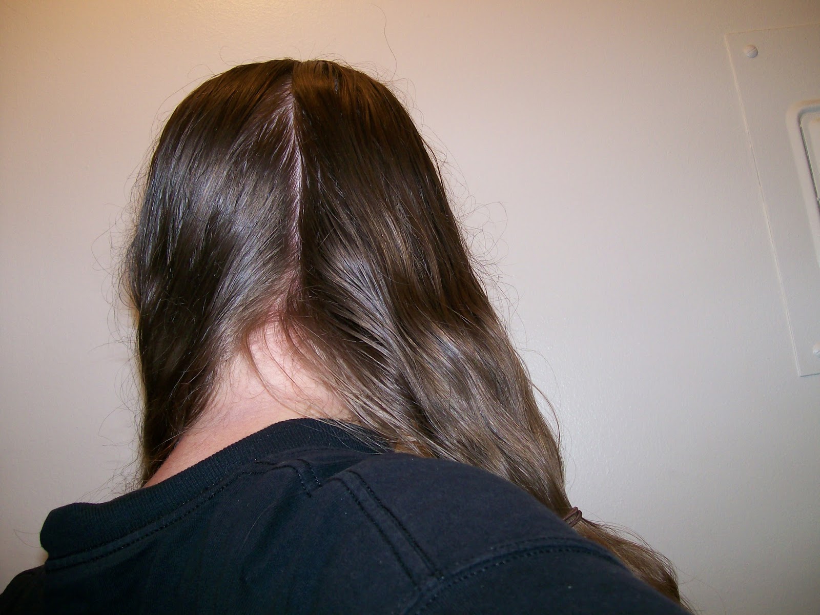 Hairdressing Twisted and Plaited Chignons; Or Basics, Part II Beth's