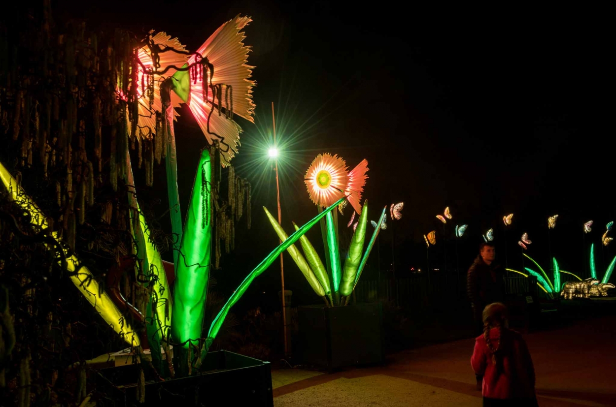 Illuminations at Heligan's Night Garden