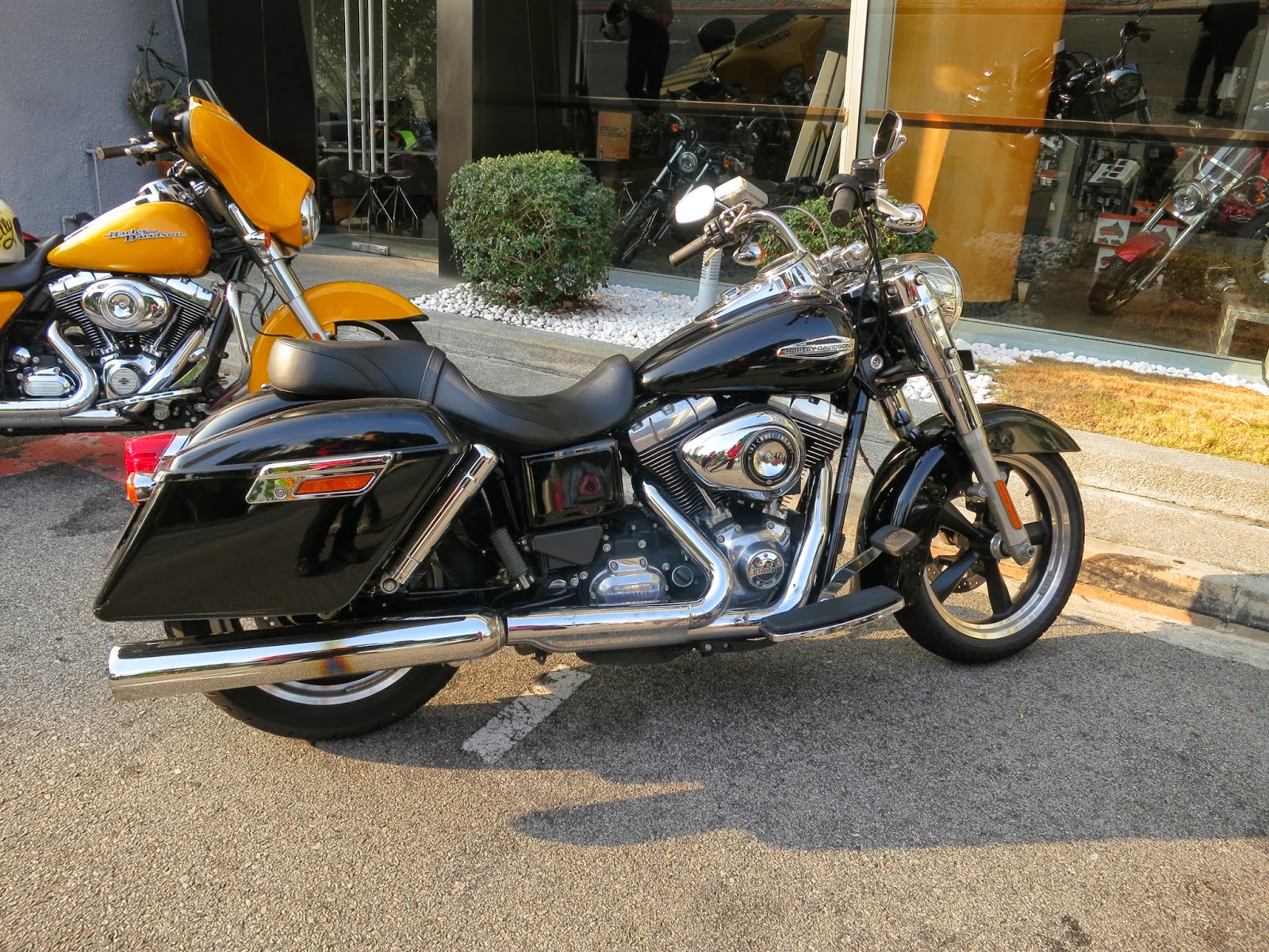 best harley for beginner female