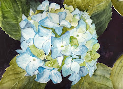 hydrangea watercolor painting artwork bunny inches