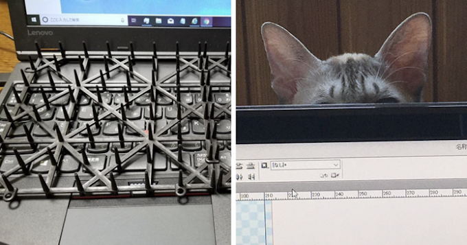 Japanese Man Came Up With Anti-Cat Keyboard Protection And Tested On His Cat
