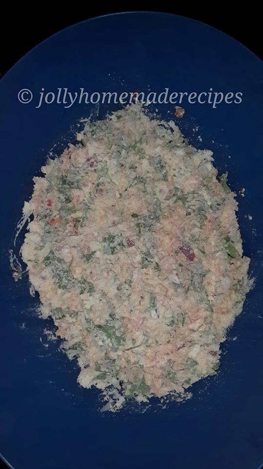 Hydrangea Macrophylia Ab Green Shadow Aberdeen Gardening