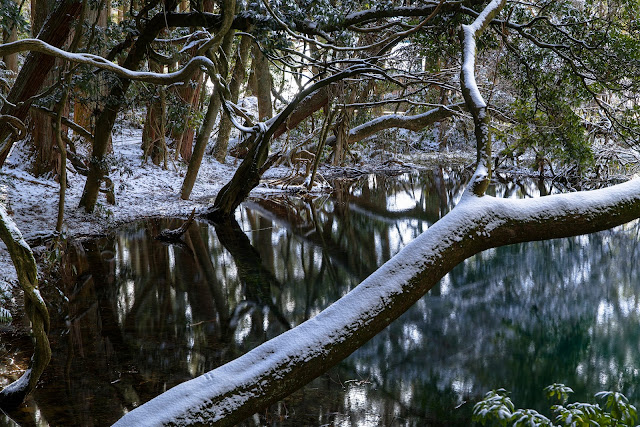 #photo #landscape #sigma #foveon #sdquattroh #japan #yamagata #yuza #山形県 #遊佐町 #山形帝國 #写真 #風景写真