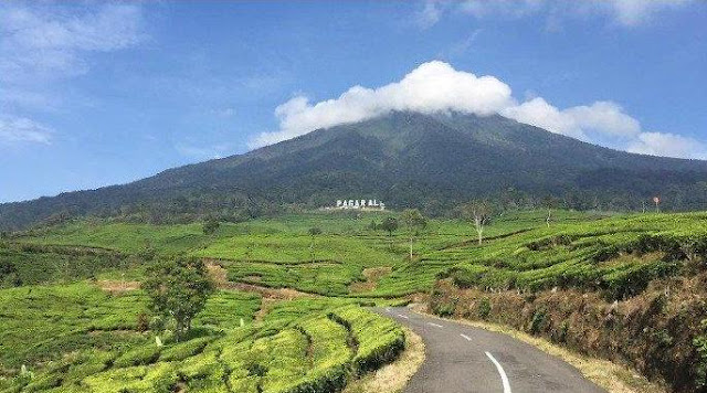 Nama-nama Gunung dari yang Tertinggi Sampai Terendah di Sumatera