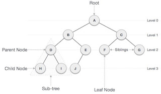 Data Structure: Hash Table, Tree, & Binary Tree