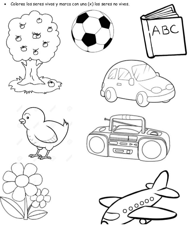 My Image 5