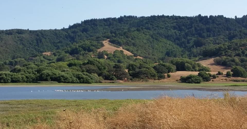 Wes' Travels to California Lakes Stafford Lake Marin County, California