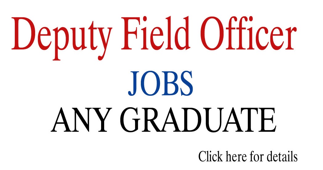 Deputy Field Officer jobs