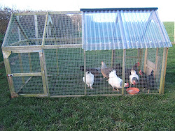 chicken run homemade hens bellecross suggested although recommended birds