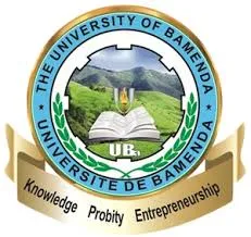 UBa Postgraduate Admission 2020-2021