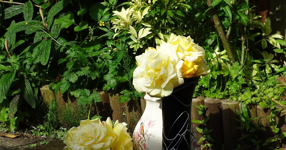 Lemon Tree Paper Creator