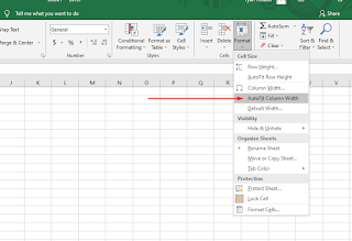 Auto Column Width in Excel
