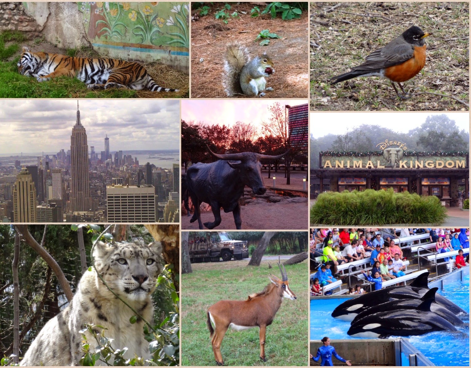 Stu the Zoo North American Destinations