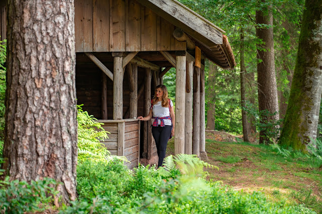 Premiumwanderweg Murgleiter | Etappe 5 von Baiersbronn zum Schliffkopf | Wandern nördlicher Schwarzwald 18